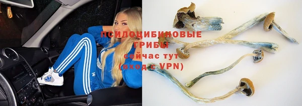 спиды Абаза