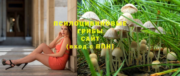 спиды Абаза