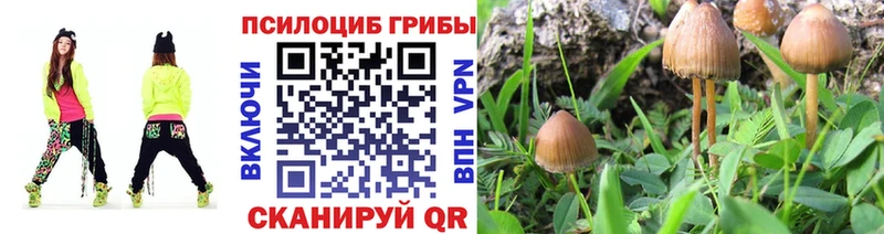 Галлюциногенные грибы прущие грибы  МЕГА   Александровск  продажа наркотиков 